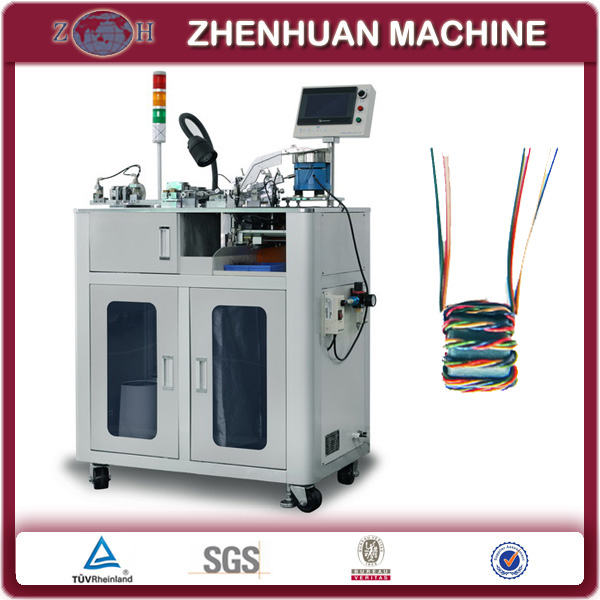 CNC Miniature Toroidal Coil Winding Machine